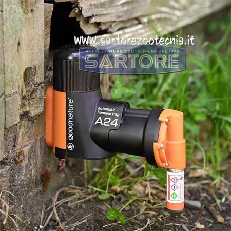 trappola per topi Gallagher