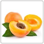 2f13de3c-7b45-4234-ab01-b76551fdc8fd