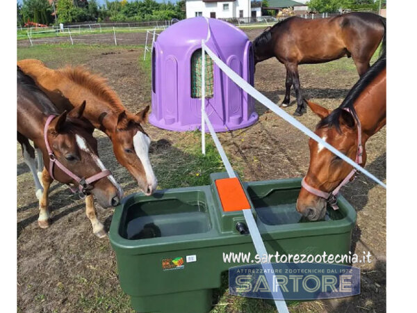 Abbeveratoio doppio 230 litri