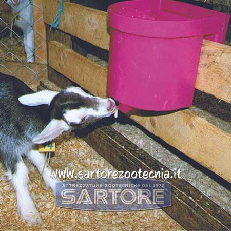 secchio milk bar 1 per capretti