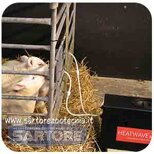 a5b4e727-d61d-46ce-ad02-aaeed6a2c155