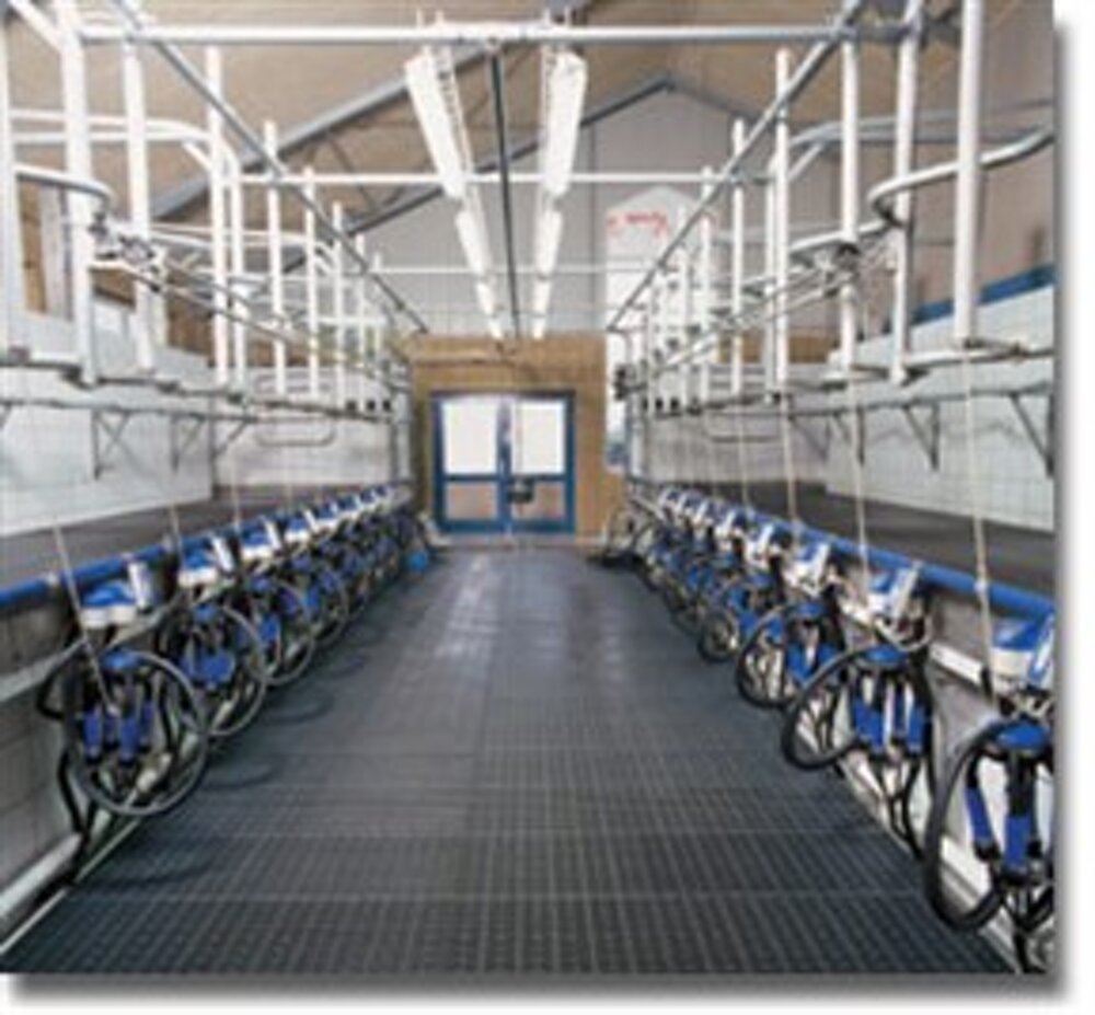 presentazioneimmagini1