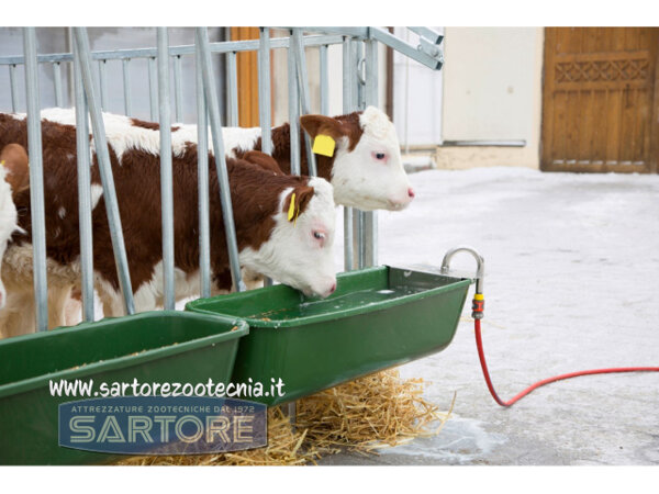 Abbeveratoio lungo con valvola galleggiante