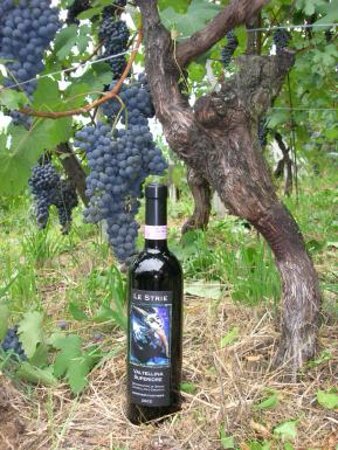 fed04774-426c-4db0-8b8e-773ef062bdbd