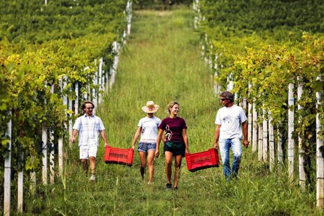 0a9dac78-4799-405c-a83d-c418e5d7d8f5