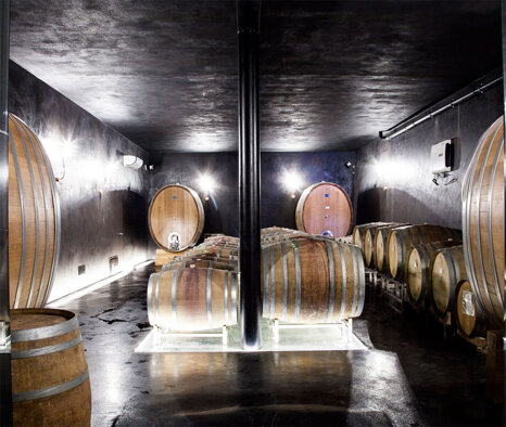 e77b6016-74fe-44a7-a941-062a98a8dba4