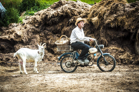 0ab178e8-d7fb-4e2d-8ce4-eef3039c5339