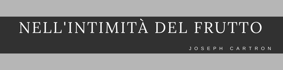 858b5b4b-d169-4771-a228-8b4d6edf0f86