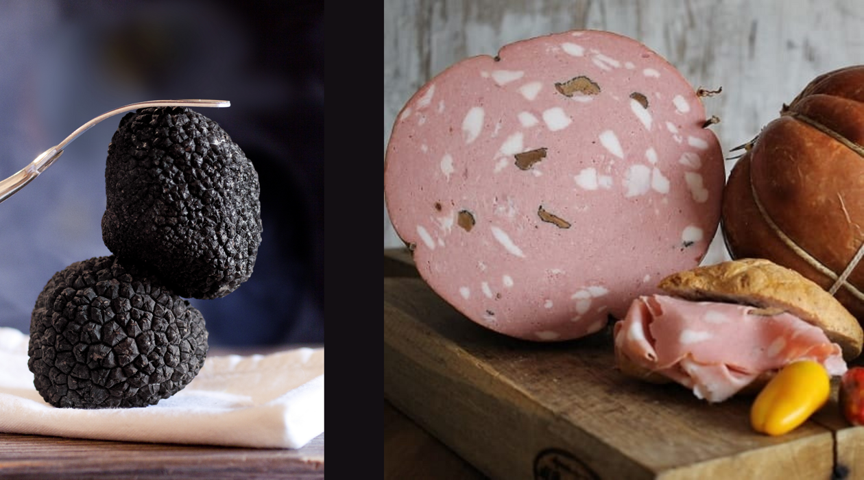 37e25d51-4fa5-4bad-b72e-fd4931ea903f