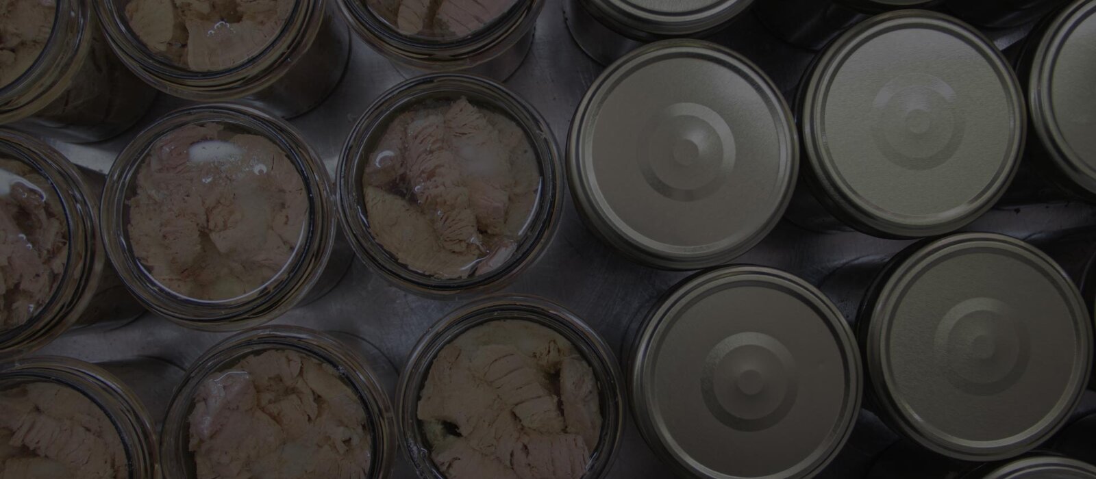 79182293-73d6-4c05-8e75-6f8ab8be16a8