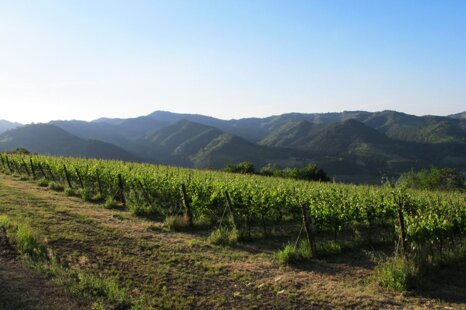 48a89838-5a5d-4b45-a070-1922f0895a0b