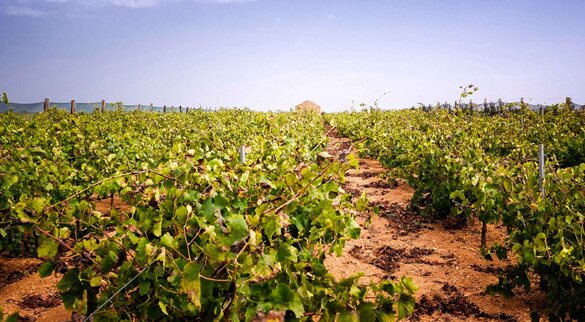 d203f207-05de-4532-a920-4edcac9af4fc