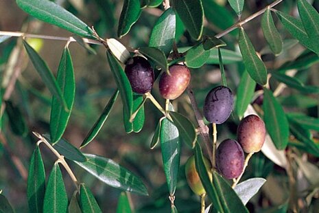 f7249cc6-3370-43b0-b2fc-06d26aaf443a