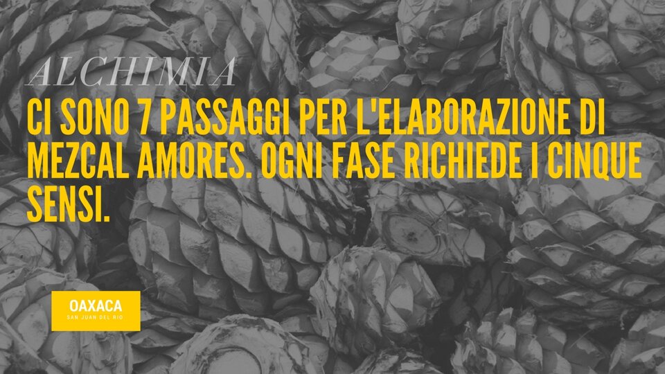 1e319787-994e-4503-a795-ffe957045df1