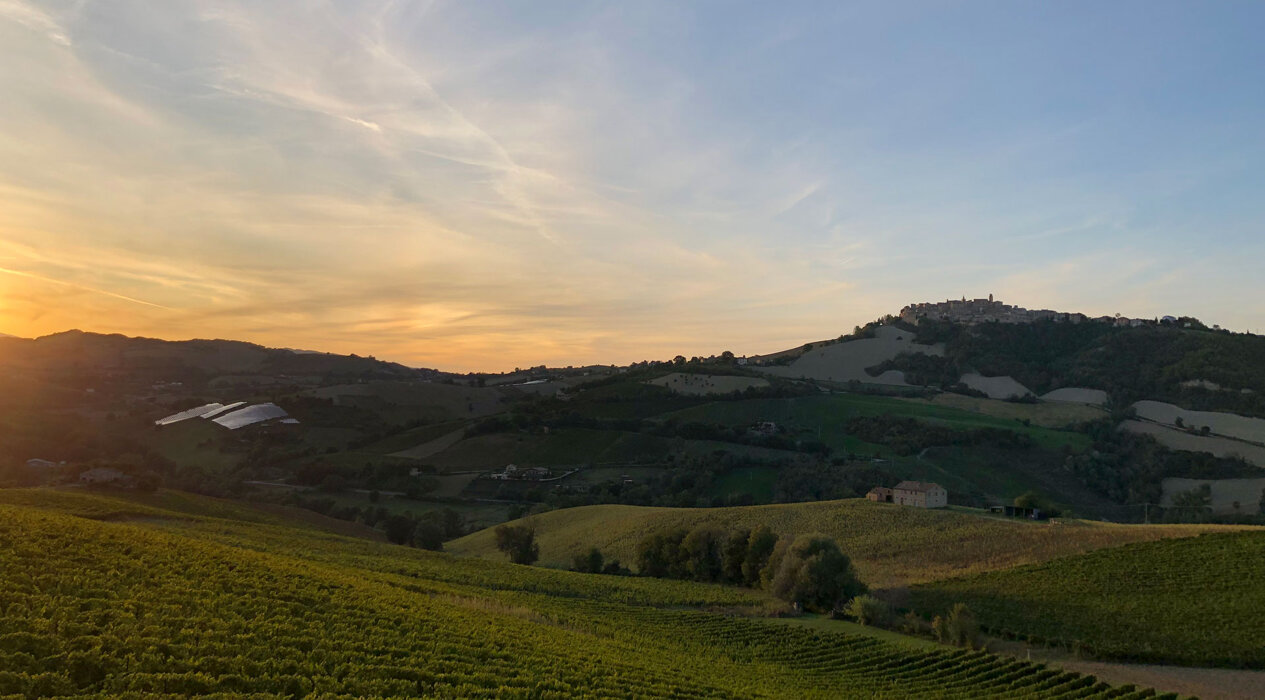 4889f8c6-ddc5-4c0c-83ff-df41975ddd64