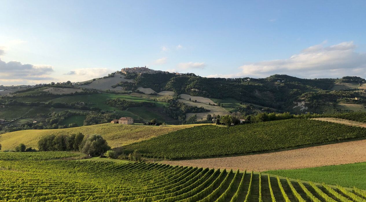 4a97b323-10d1-40e5-9ce9-4fea569d46fd