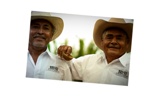 357aa519-f98a-429f-9979-49fea1fea15e