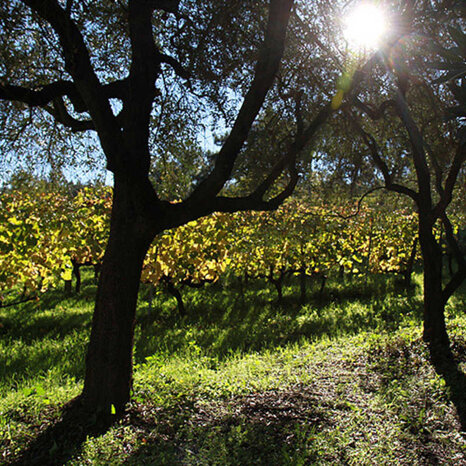 4c1f7401-bb09-4b47-9b2f-a0f5045d3f14