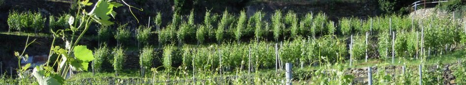 6f8ba2ce-bf04-4770-9822-1b46ffd67666