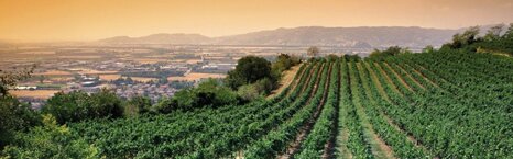 2385e613-9856-4d86-8a96-4ad66d13f89b