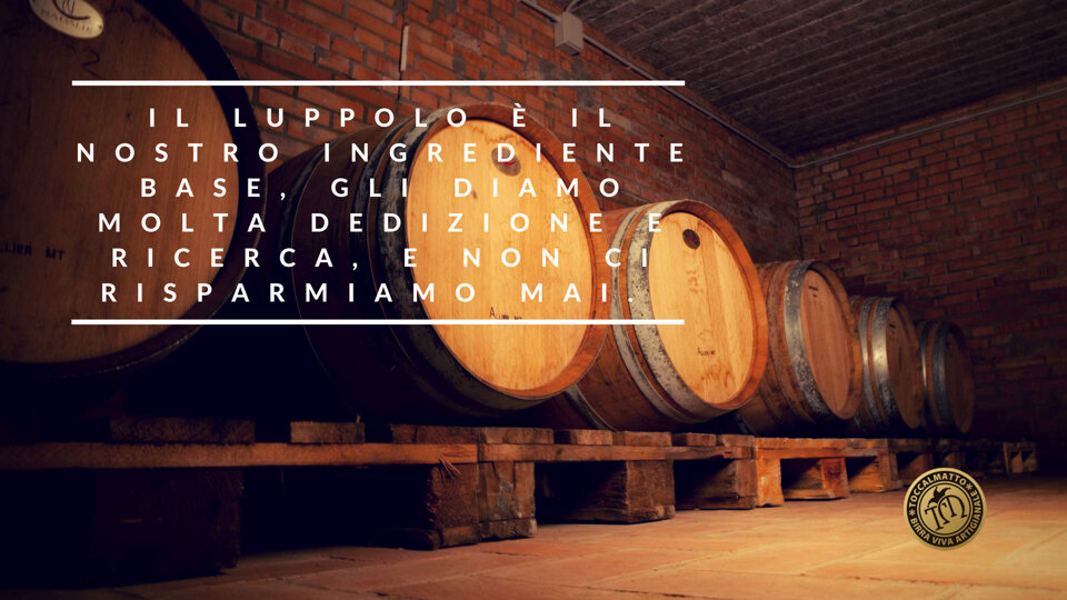 ad927f74-a1d3-4579-9ef9-8524709b0a01