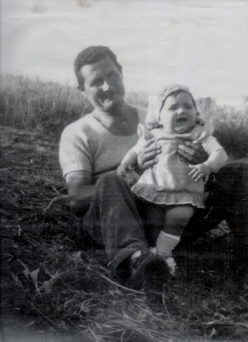 4d0dc17f-44a1-4f09-9f28-545aa5987877