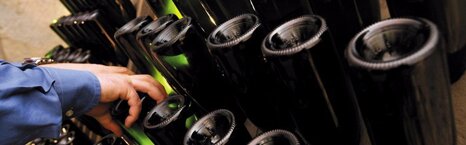 f359fadb-1bb7-4a57-a498-c9ae5fa11c45