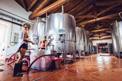 e75788d9-08d0-4120-b5ec-d909ce48b099