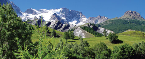 379a143f-15e9-4db4-b974-42f97c6b918a