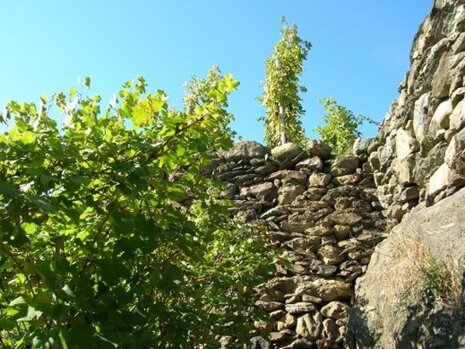 a50e058d-d6ec-4de1-a4f4-138e45fcf796