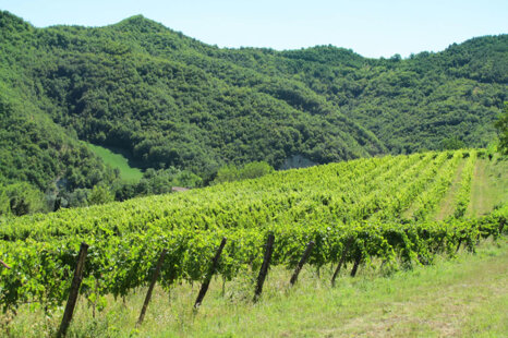 48667d9c-836f-4c3d-a5f4-a9d9ff88bbad