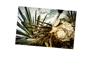 adcaf512-0989-4be7-94fe-21d446800a6d