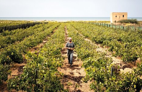 dcf86090-53af-4a16-a741-36afc4e3233b