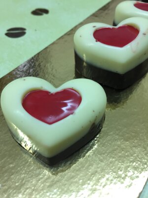 foto2016-2017481 foto2016-2017481