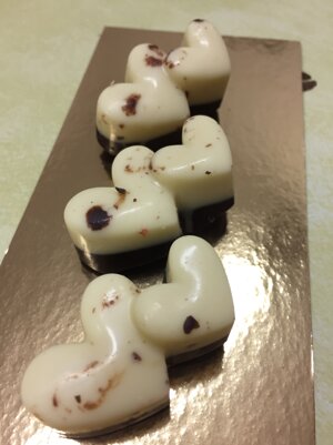 foto2016-2017482 foto2016-2017482