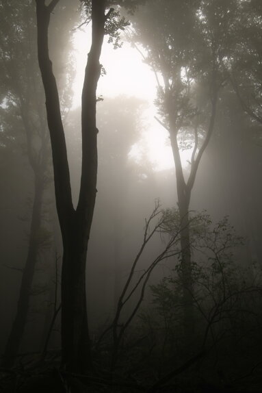 Immagini della pagina contatti del tour leader professionale, per tour operator nazionali e internazionali interessati a viaggi di gruppo.