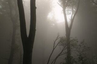 Foto delle destinazioni dei viaggi di gruppo accompagnati da un tour leader professionale per tour operator nazionali e internazionali.