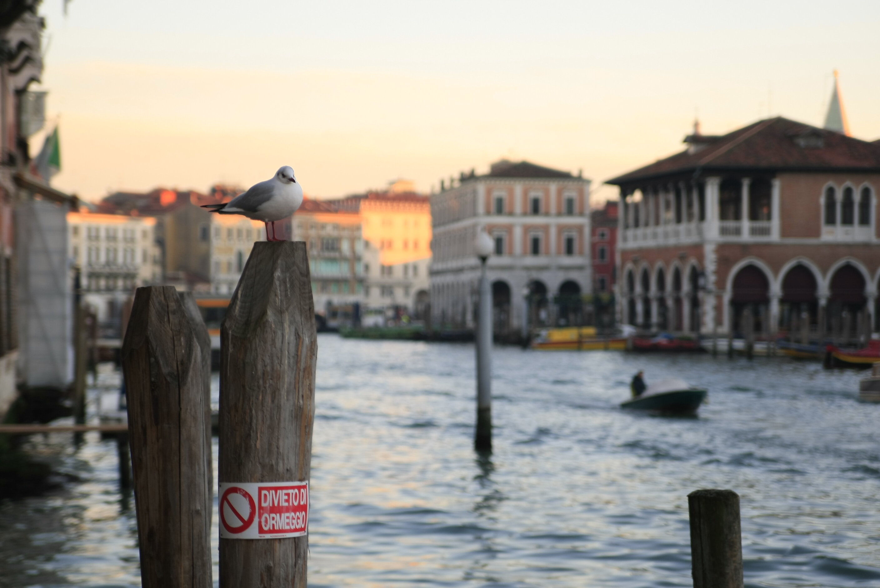 _n_g0934.jpeg _n_g0934.jpeg