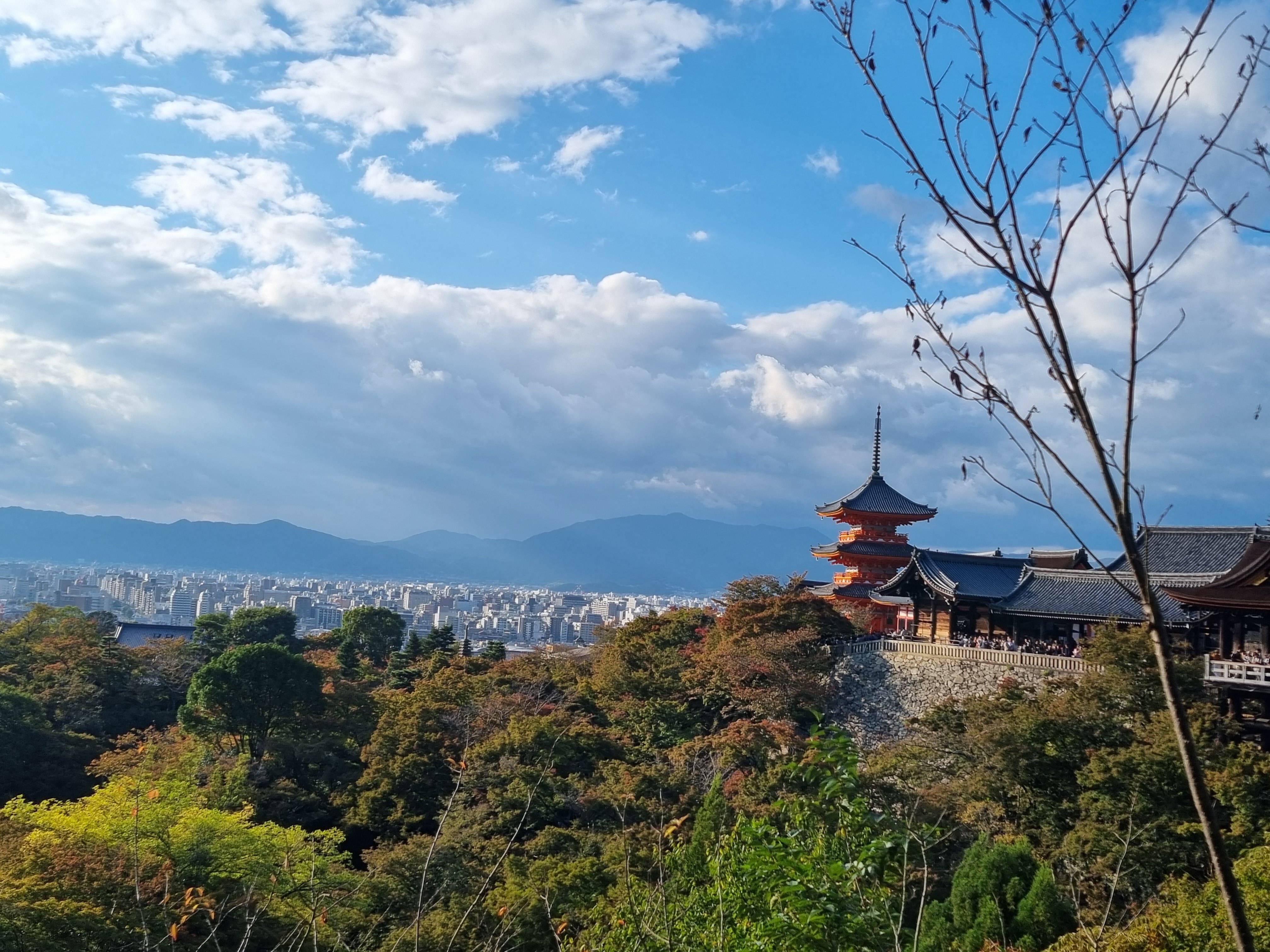 20251101_151746.jpeg 20251101_151746.jpeg