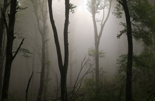 Tour leader professionale con gruppi di viaggi organizzati, collaborazioni con tour operator nazionali e internazionali