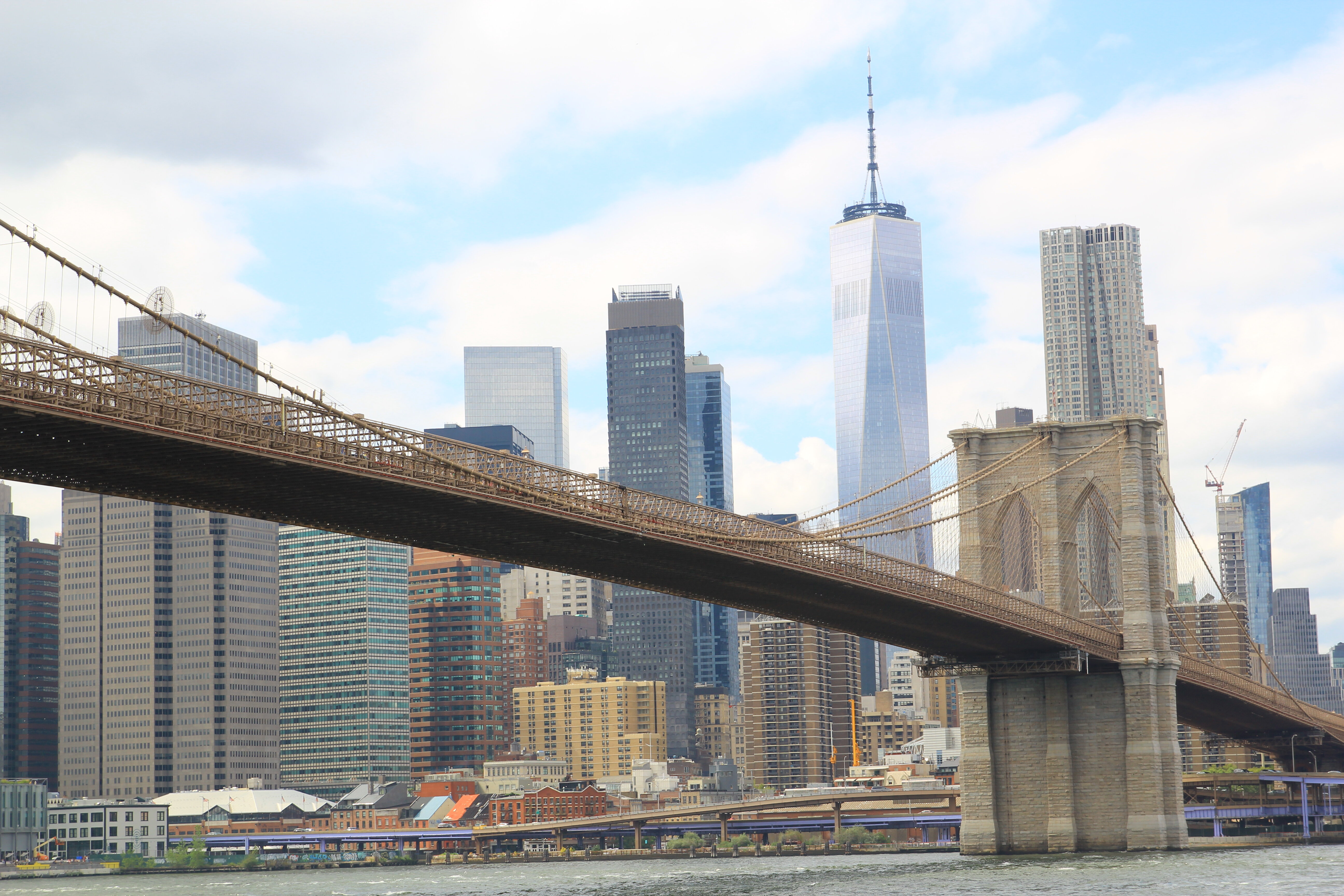 img_7808.jpeg img_7808.jpeg