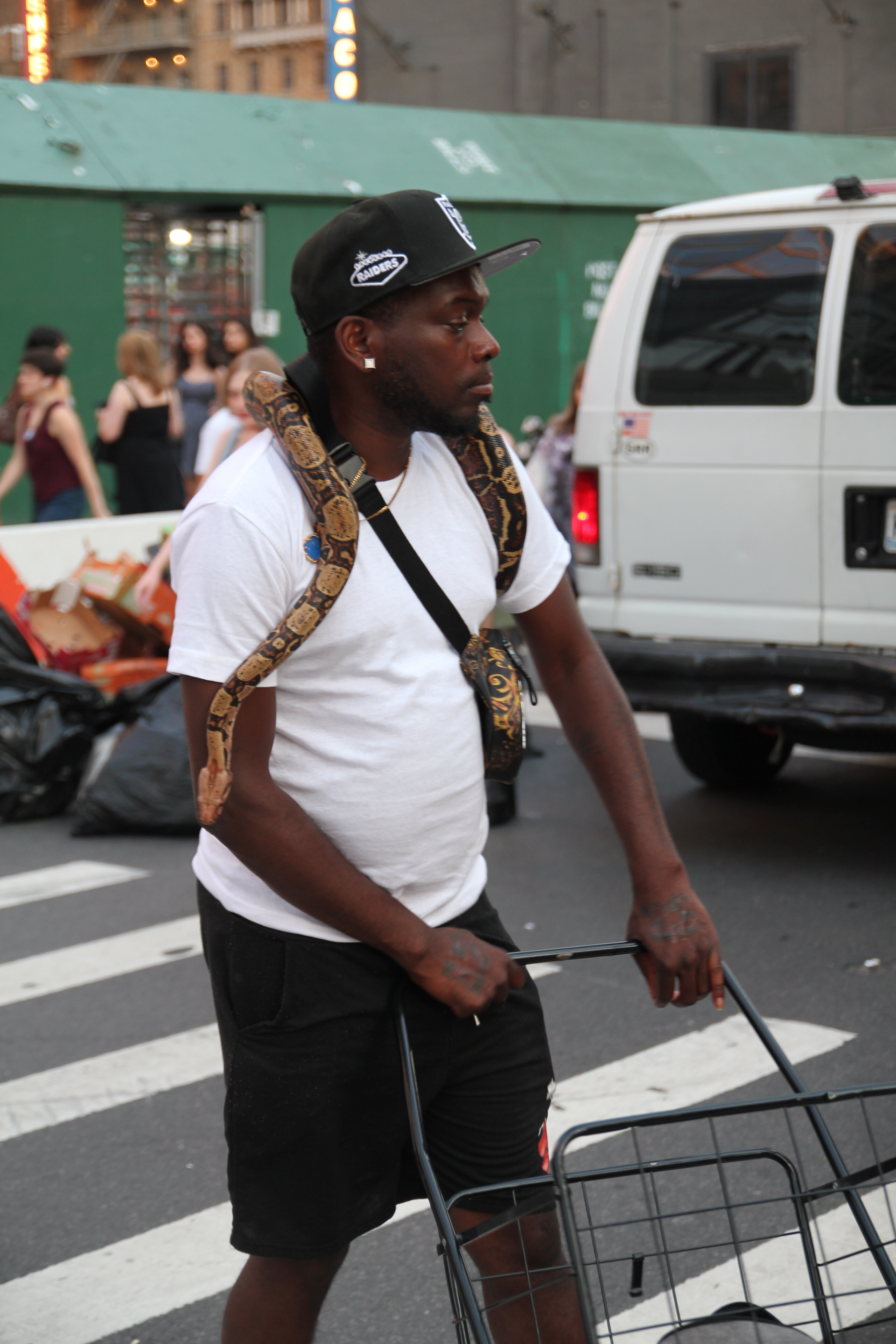 img_7082.jpeg img_7082.jpeg