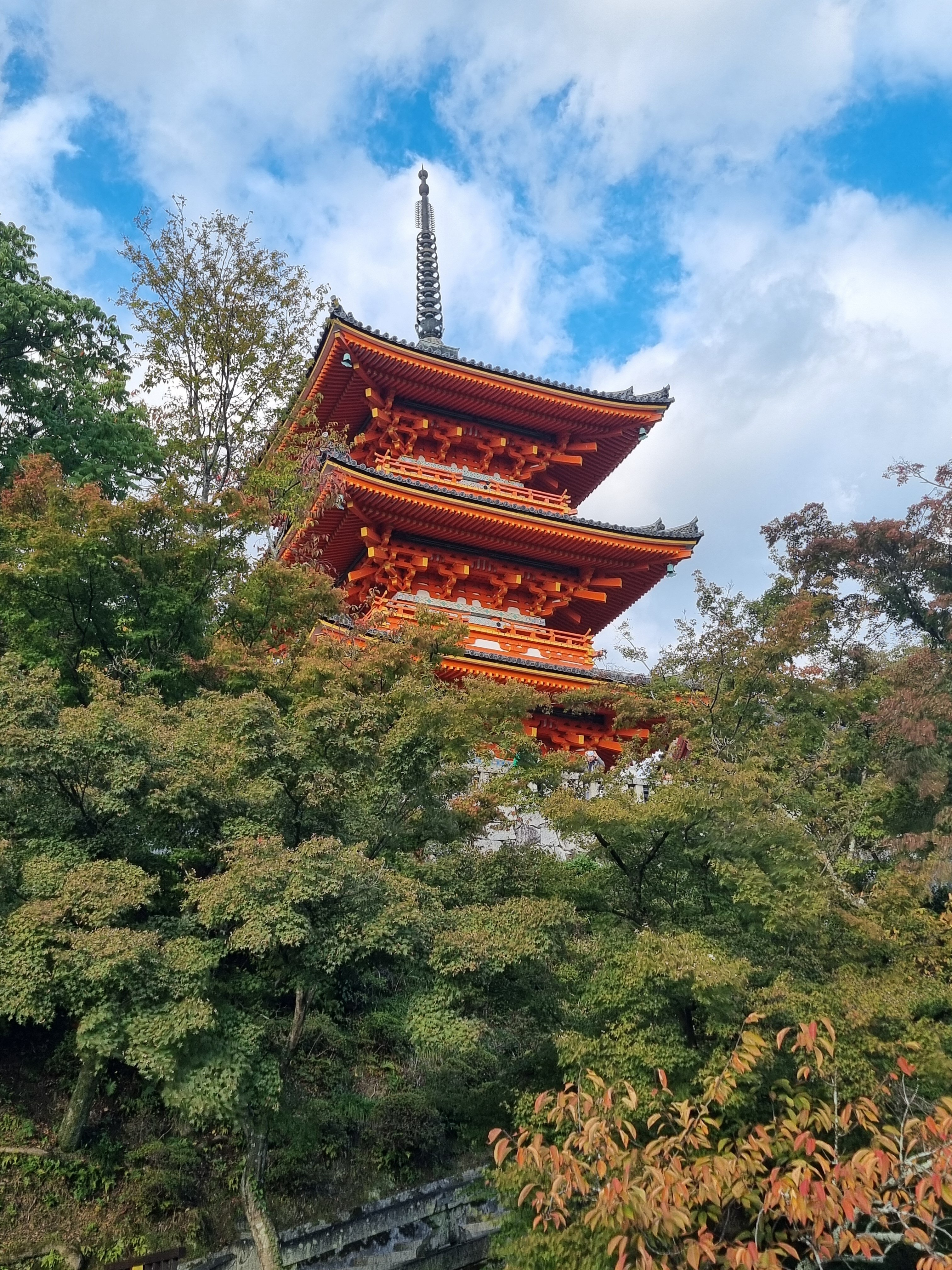 20251101_154120.jpeg 20251101_154120.jpeg