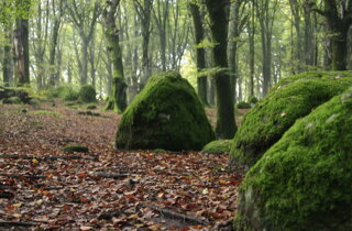 Foto delle destinazioni dei viaggi di gruppo accompagnati da un tour leader professionale per tour operator nazionali e internazionali.