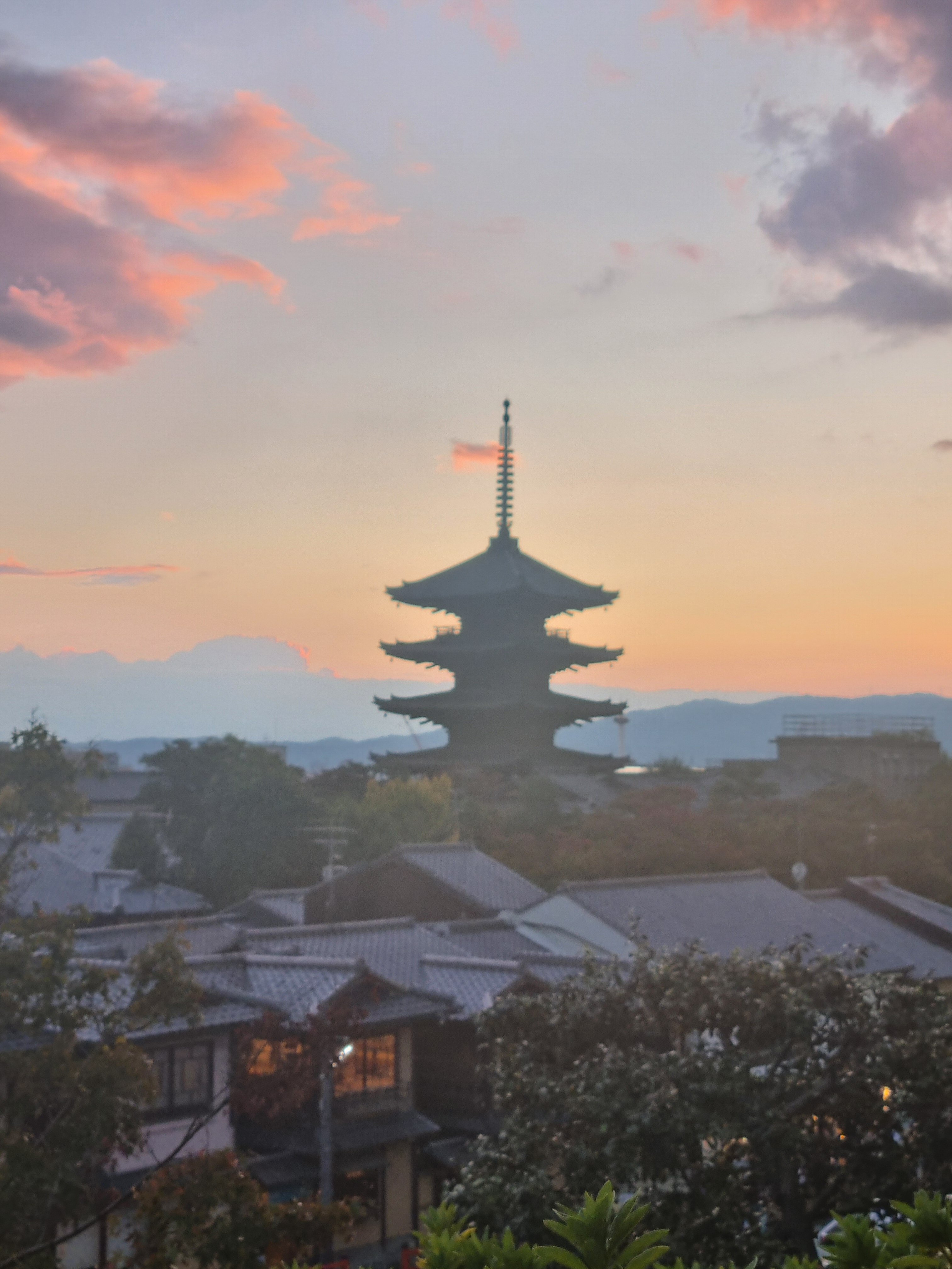 20251101_165909.jpeg 20251101_165909.jpeg