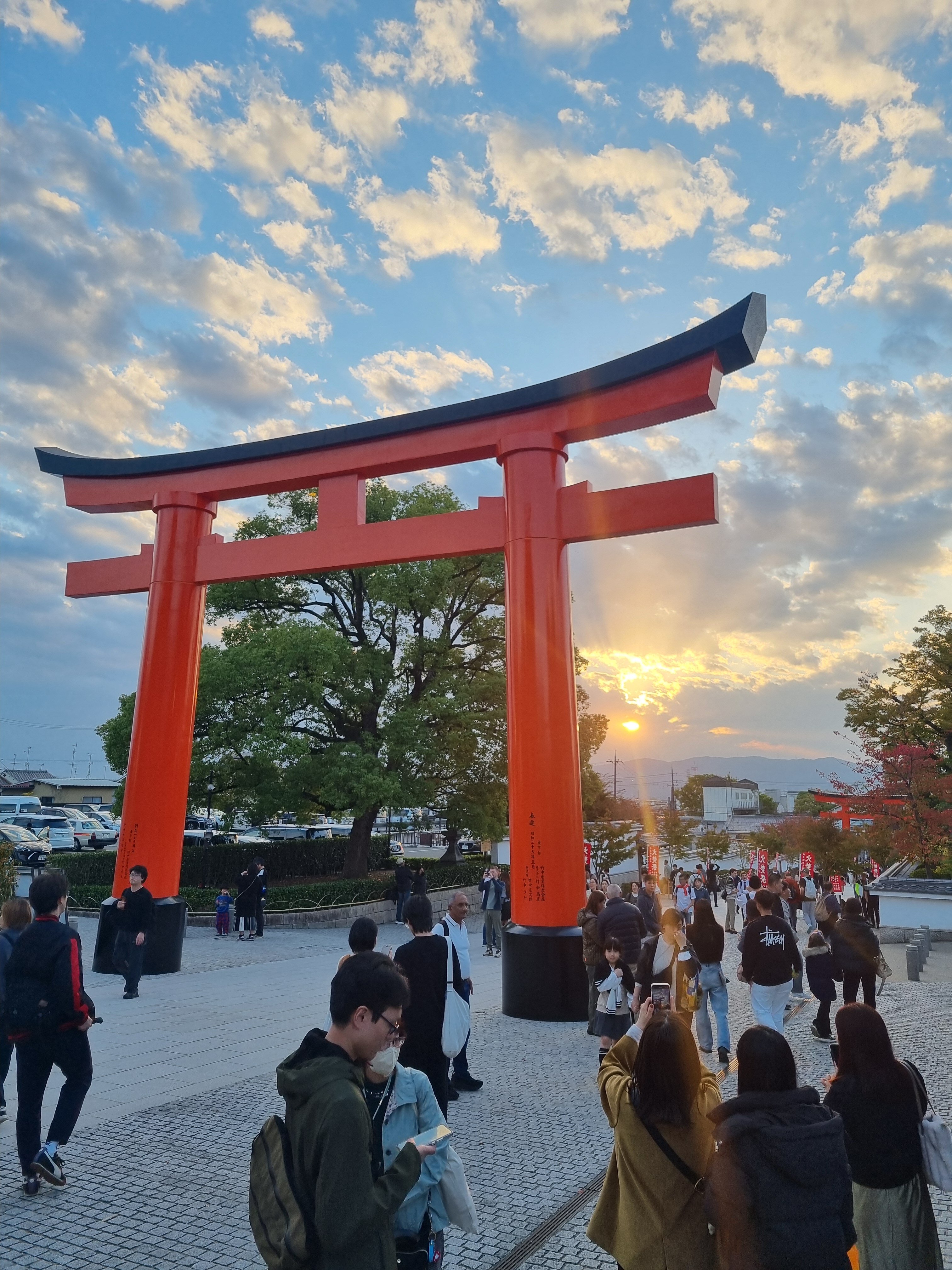 20251102_163621.jpeg 20251102_163621.jpeg