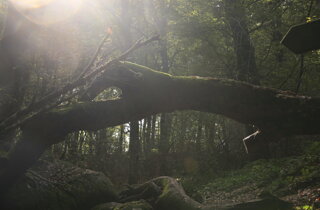 Foto delle destinazioni dei viaggi di gruppo accompagnati da un tour leader professionale per tour operator nazionali e internazionali.