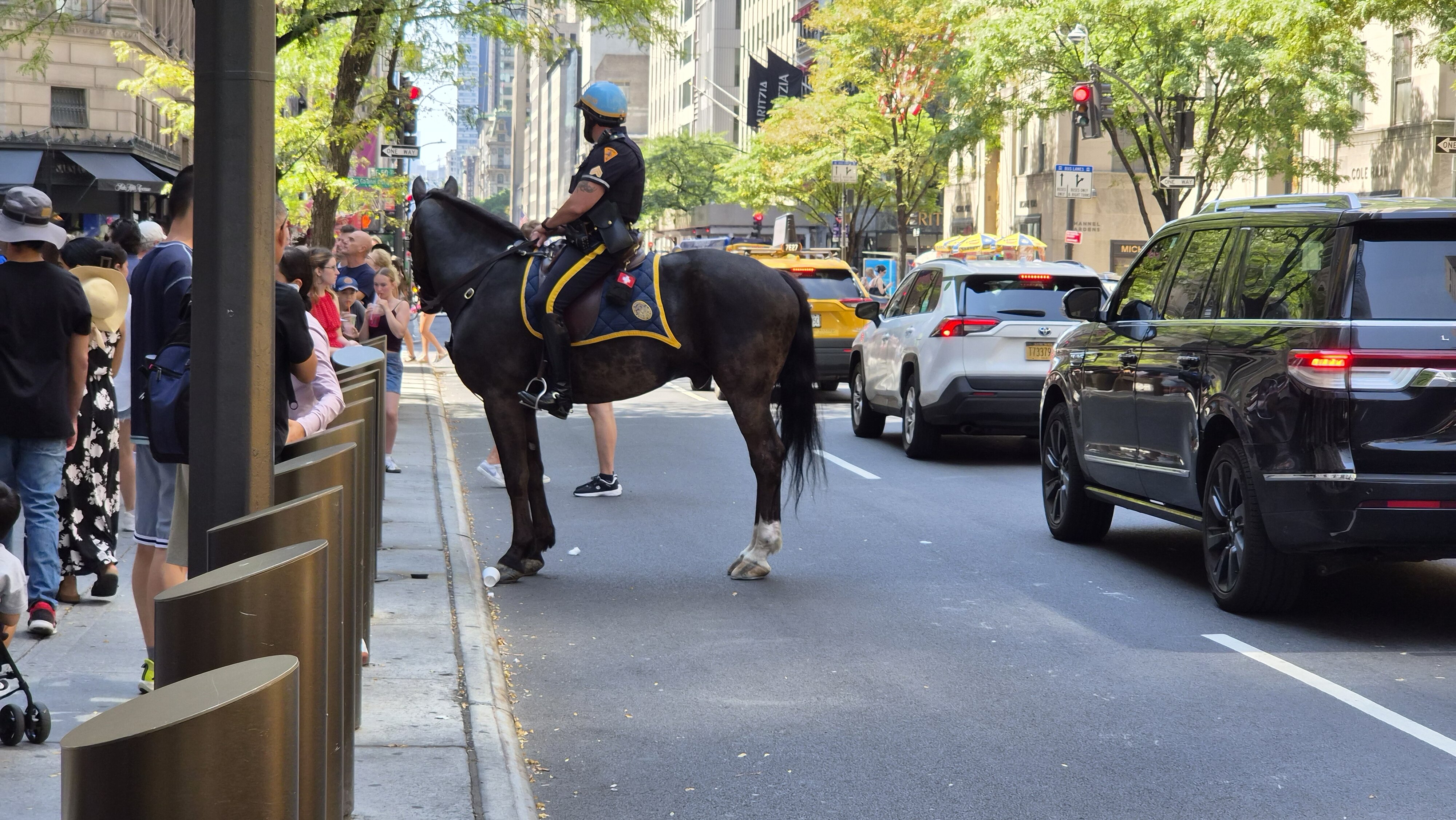 Tour Leader New York Viaggio New York Discovery New York New York luglio 2026 Viaggio di gruppo New York Accompagnatore turistico New York Manhattan Brooklyn Times Square Central Park