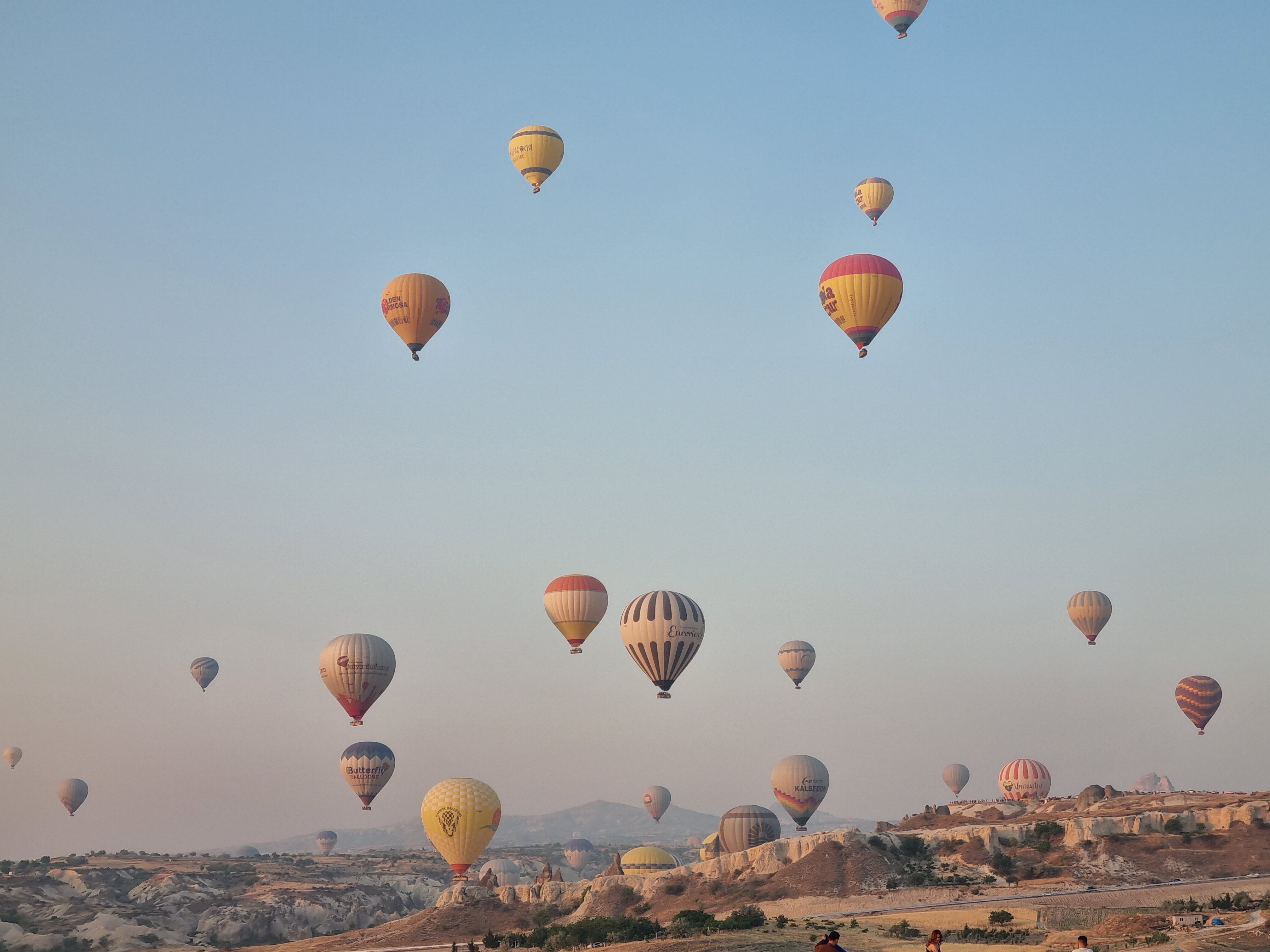 Turchia in Fiore: I Colori della Primavera
