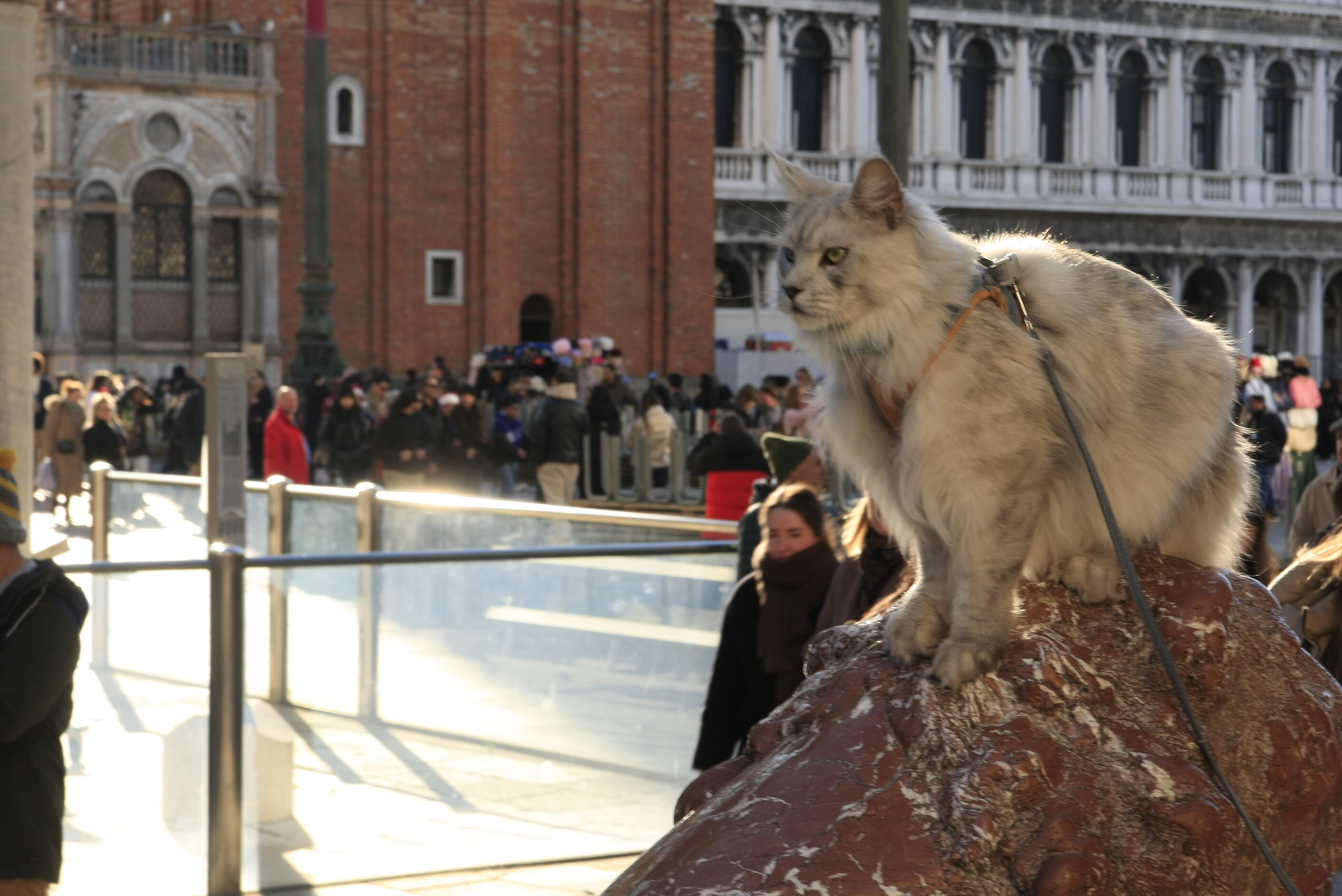 _n_g1000.jpeg _n_g1000.jpeg